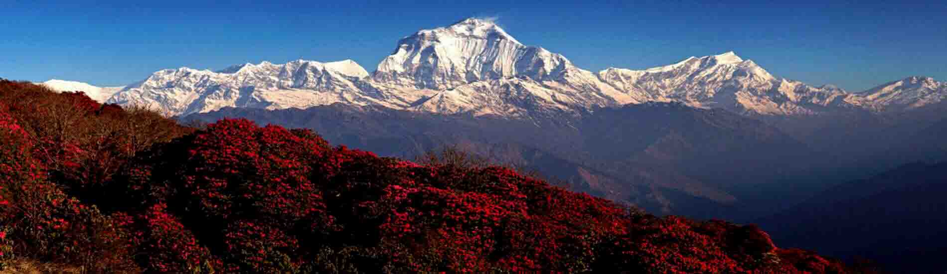 Annapurna trekking