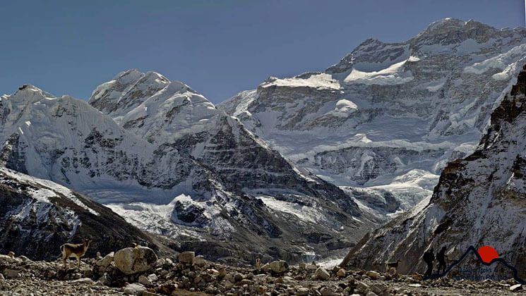 Kanchenjunga trek