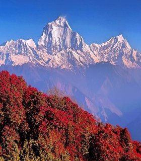 best annapurna panorama trekking nepal