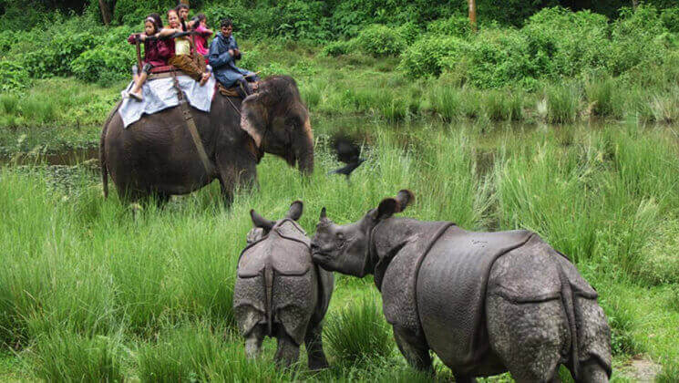 chitwan national park jungle safari cost