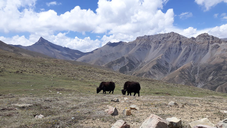 Lower dolpo to Jomsom Trek