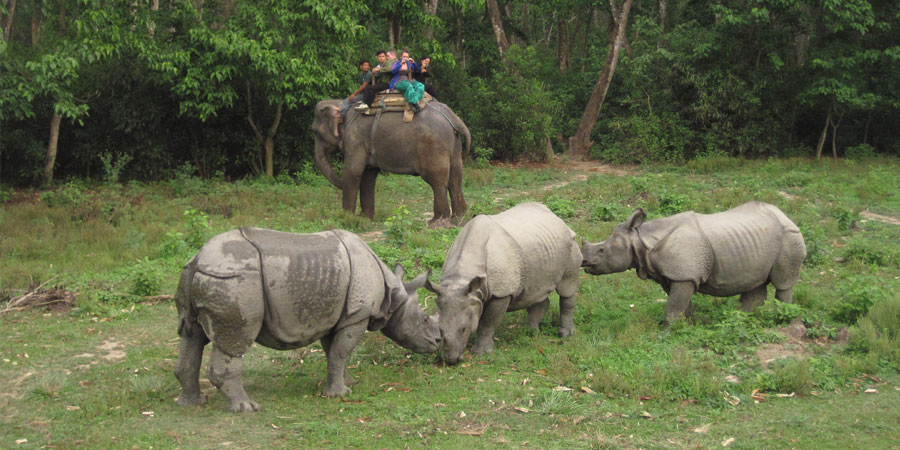 Kathmandu and Chitwan tour package price Kathmandu and Chitwan Tour