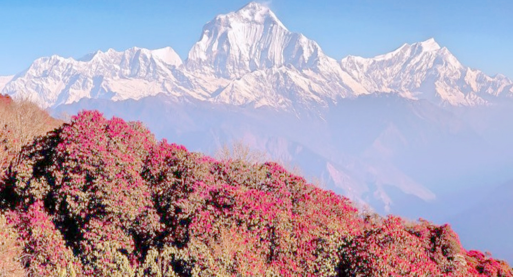 Best trekking in nepal for beginners