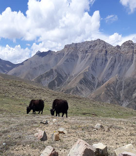 Lower dolpo trek in monsoon