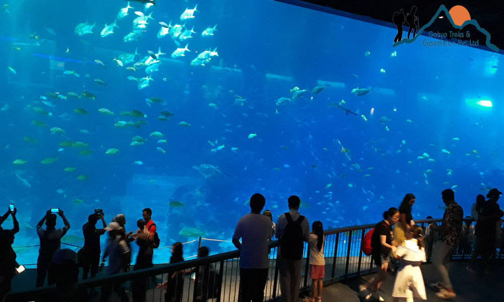 sea aquarium