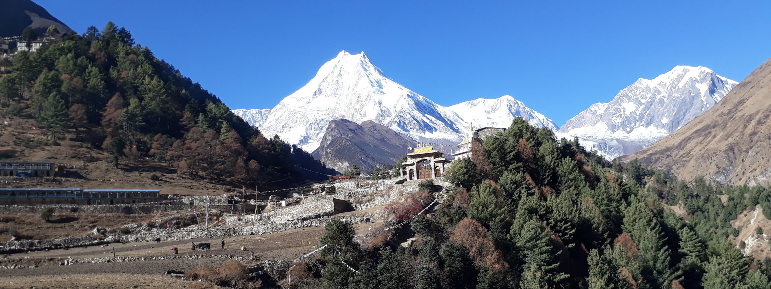 Manaslu view trek