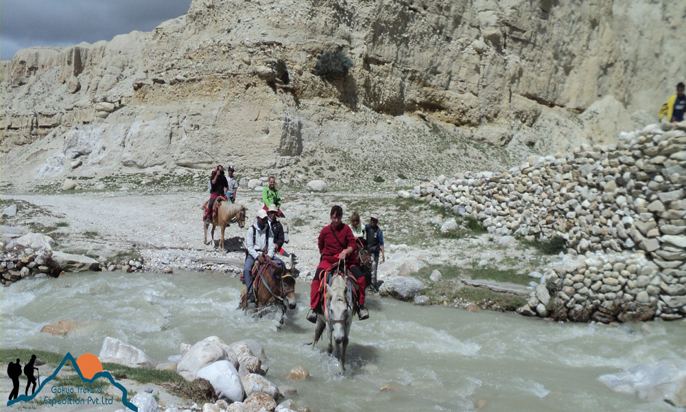 mustang pony trekking