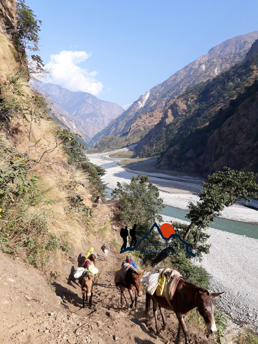 machha khola trek
