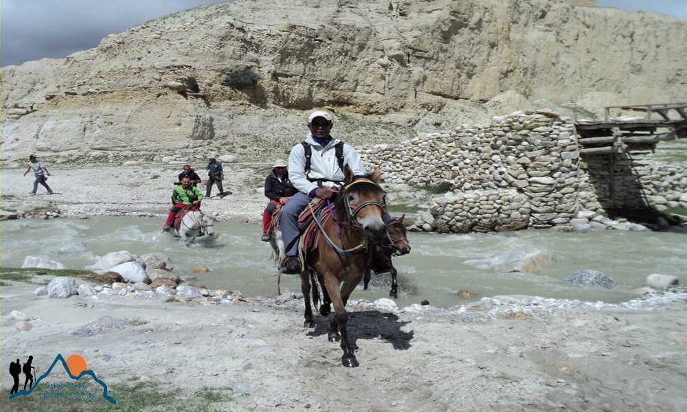 pony trekking