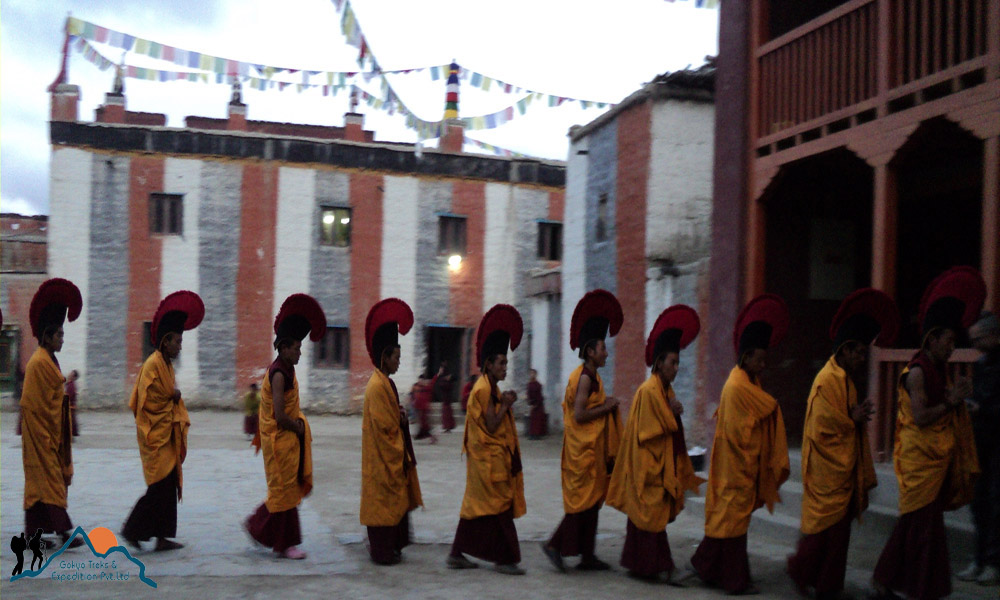 teji festival, mustang