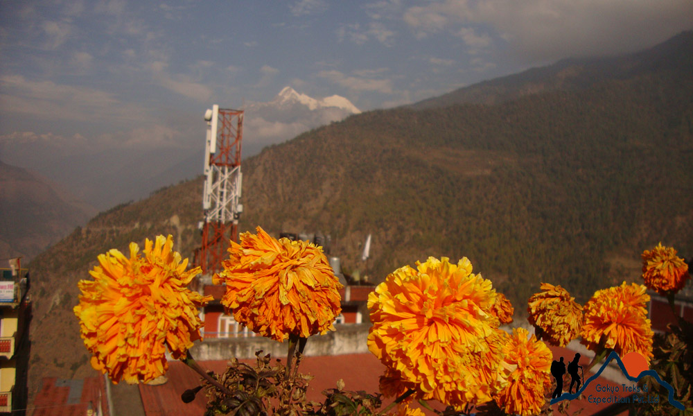 Dhunche Bazaar guest houses