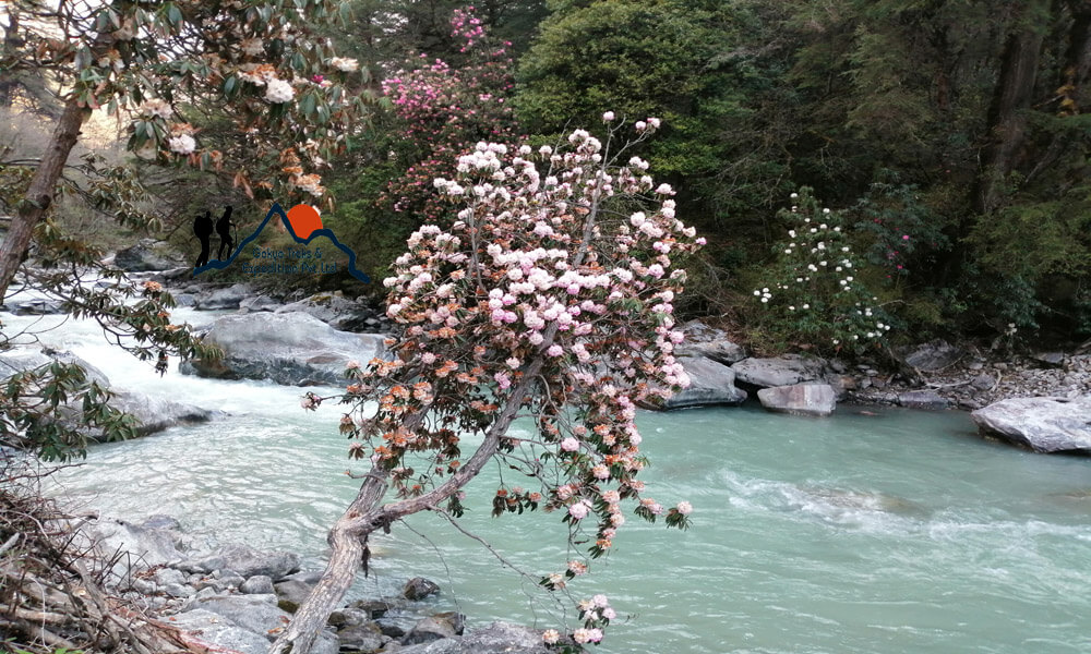 Langtang  river