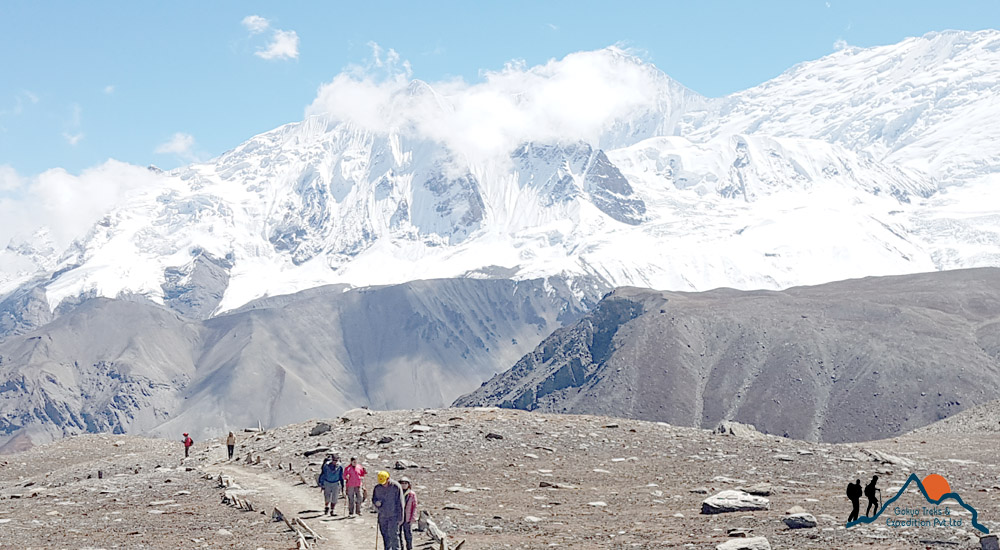 tilicho lake trek team