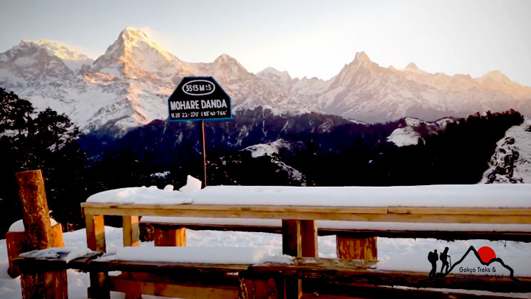Mohare Danda Trek Mohare danda hike