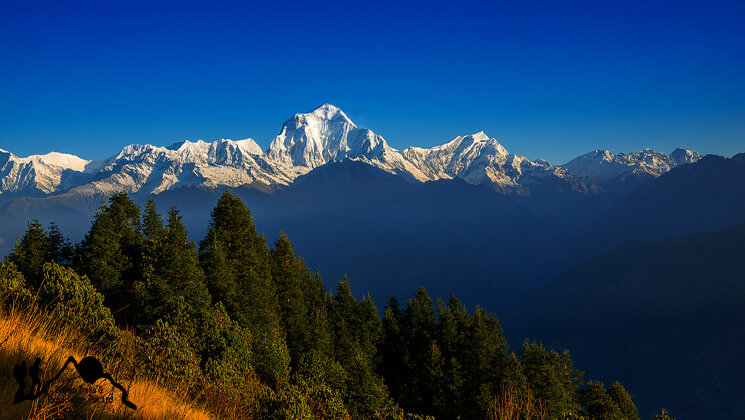 Annapurna Panorama Trekking journey Annapurna Panorama Trekking in Nepal