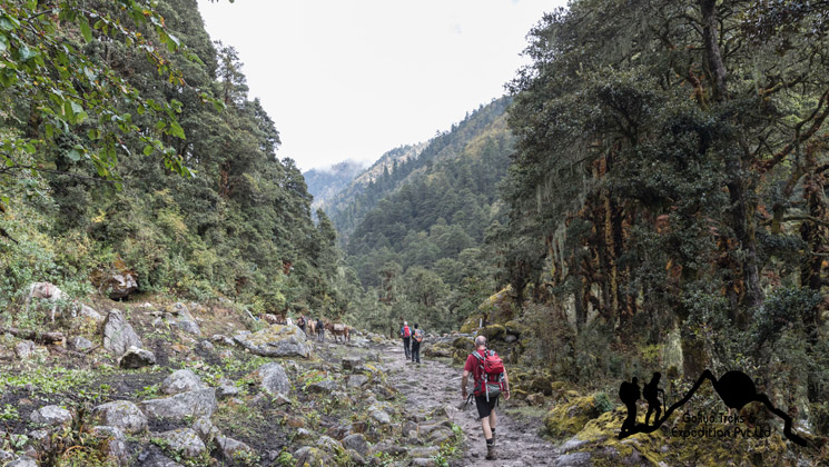 Druk path trail in Bhutan