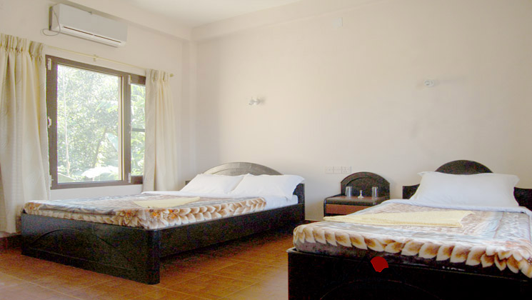 rooms in Chitwan wildlife tour packages