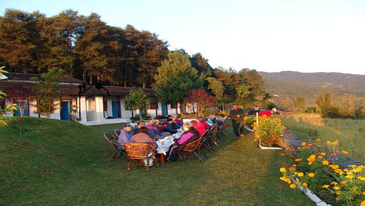 Basanta Lodge, luxury lodge in Dhampus Annapurna